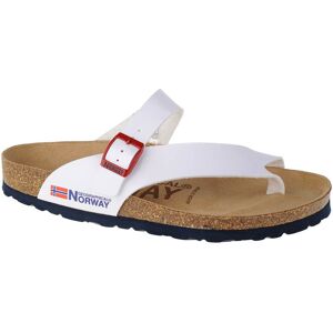 Flip-flops Geographical Norway Sandalias Infradito Donna 36 Dam Flip-flops Geographical Norway Sandalias Infradito Donna 36 Dam