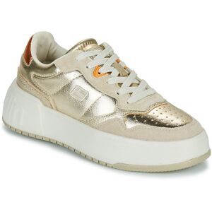 Sneakers D.Franklin 321 COURT 36,37,38,39,40,41 Dam Sneakers D.Franklin 321 COURT 36,37,38,39,40,41 Dam