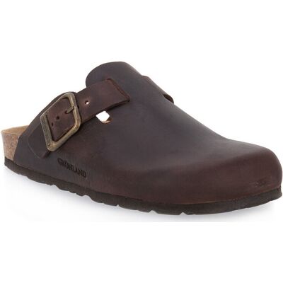Tofflor Grunland MOGANO 70SARA 37 Dam Tofflor Grunland MOGANO 70SARA 37 Dam