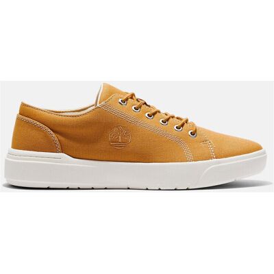 Sneakers Timberland Seneca bay canvas ox 41,42,44 Herr Sneakers Timberland Seneca bay canvas ox 41,42,44 Herr
