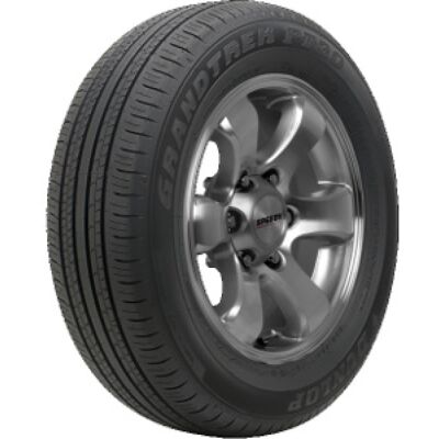 Dunlop Grandtrek PT30 ( 225/60 R18 100H BLK ) Dunlop Grandtrek PT30 ( 225/60 R18 100H BLK )