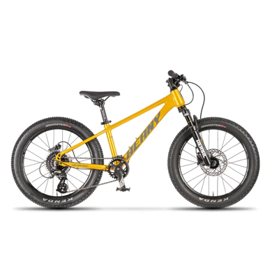Beany Blaster 20 children's bike Gold 20 Beany Blaster 20 children's bike Gold 20