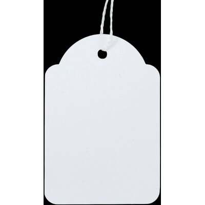 Apli Hängetikett 28x43 mm 500/fp Apli Hängetikett 28x43 mm 500/fp