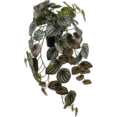 Götessons Konstväxt Peperomia 45 cm Götessons Konstväxt Peperomia 45 cm