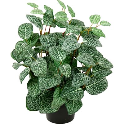 Götessons Konstväxt Fittonia 34 cm Götessons Konstväxt Fittonia 34 cm