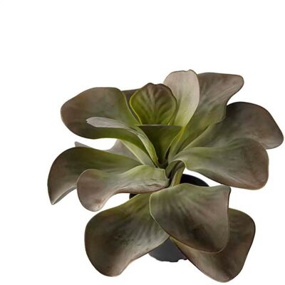 Götessons Konstväxt Kalanchoe 25 cm Götessons Konstväxt Kalanchoe 25 cm