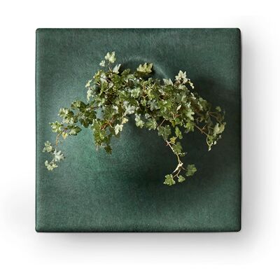 Götessons Ljudabsorbent PlantPanel 58x58x21 cm Moss Götessons Ljudabsorbent PlantPanel 58x58x21 cm Moss