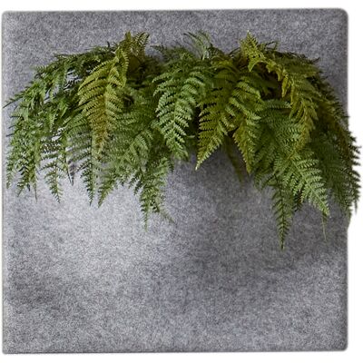 Götessons Ljudabsorbent PlantPanel 58x58x21 cm Gravel Götessons Ljudabsorbent PlantPanel 58x58x21 cm Gravel