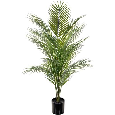 Mr Plant Bergspalm 110cm Mr Plant Bergspalm 110cm