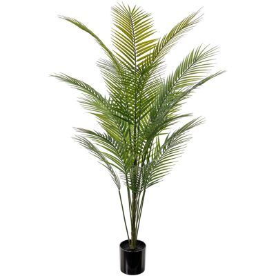 Mr Plant Bergspalm 180cm Mr Plant Bergspalm 180cm
