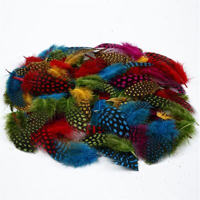 Creativ Co Pärlhönsfjädrar 50g mix färger Creativ Co Pärlhönsfjädrar 50g mix färger