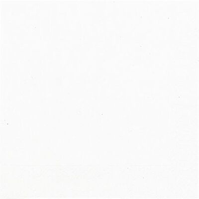 Servett DUNI 1-lags 33x33cm vit 500/fp Servett DUNI 1-lags 33x33cm vit 500/fp