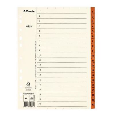 ESSELTE Pappregister Servo A4 1-20 brun flik ESSELTE Pappregister Servo A4 1-20 brun flik