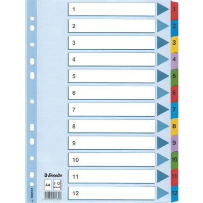 Register Esselte Mylar A4 1-12 Register Esselte Mylar A4 1-12