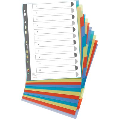 Exacompta Register A4 returplast 12 flikar Exacompta Register A4 returplast 12 flikar