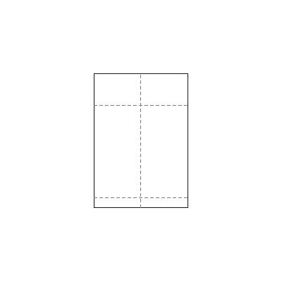 Dataform STE Transportetikett 105x270 mm Dataform STE Transportetikett 105x270 mm