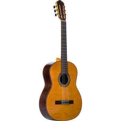 Santana El Clásico 94 spansk gitarr Santana El Clásico 94 spansk gitarr