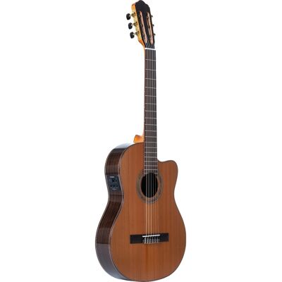 Santana El Clásico 98 spansk gitarr Santana El Clásico 98 spansk gitarr