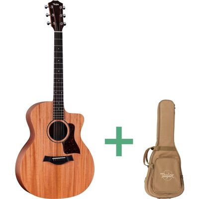 Taylor 24CE westerngitarr Taylor 24CE westerngitarr