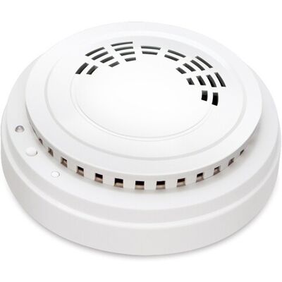 PLANET IP20 LoRaWAN CO Detector gasdetektorer Kolmonoxid LS100-CO-868M PLANET IP20 LoRaWAN CO Detector gasdetektorer Kolmonoxid LS100-CO-868M