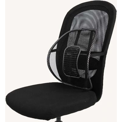 Swedish Posture BackRest Svankstöd Swedish Posture BackRest Svankstöd