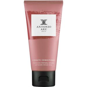 Antonio Axu Hydrate Conditioner Travel-Size 60 ml Antonio Axu Hydrate Conditioner Travel-Size 60 ml
