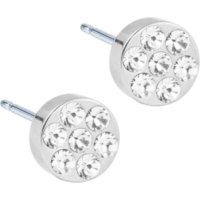 Blomdahl Örhängen Brilliance Plenary Crystal 5 mm Blomdahl Örhängen Brilliance Plenary Crystal 5 mm