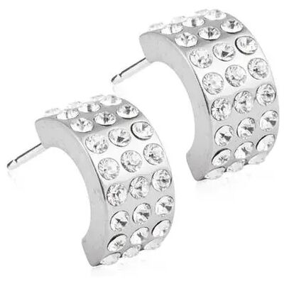 Blomdahl Örhängen Pendant Grand Brilliance Curved Crystal Blomdahl Örhängen Pendant Grand Brilliance Curved Crystal