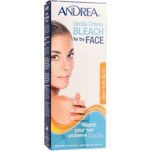 Andrea Gentle Bleach Cream Face 42 g Andrea Gentle Bleach Cream Face 42 g