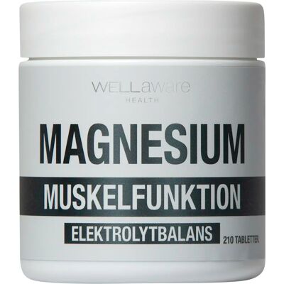 WellAware Magnesium 210 tabletter WellAware Magnesium 210 tabletter