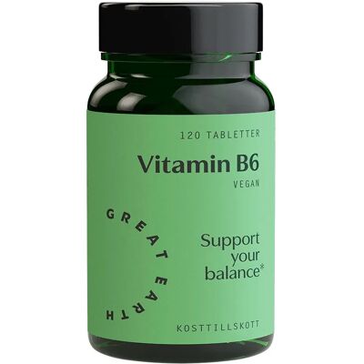 Great Earth Vitamin B6 120 tabletter Great Earth Vitamin B6 120 tabletter