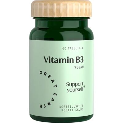 Great Earth Vitamin B3 Niacin 500 mg 60 tabletter Great Earth Vitamin B3 Niacin 500 mg 60 tabletter