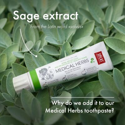 Splat Professional Medical Herbs Bio-Active Tandkräm - Skyddar Tänder och Gums Splat Professional Medical Herbs Bio-Active Tandkräm - Skyddar Tänder och Gums