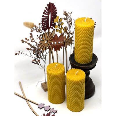 Miel du caps Miel du cap - Bivaxblockljus - Luce Miel du caps Miel du cap - Bivaxblockljus - Luce