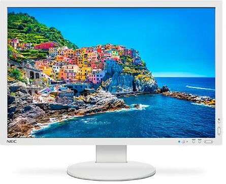 NEC PA243W NEC PA243W