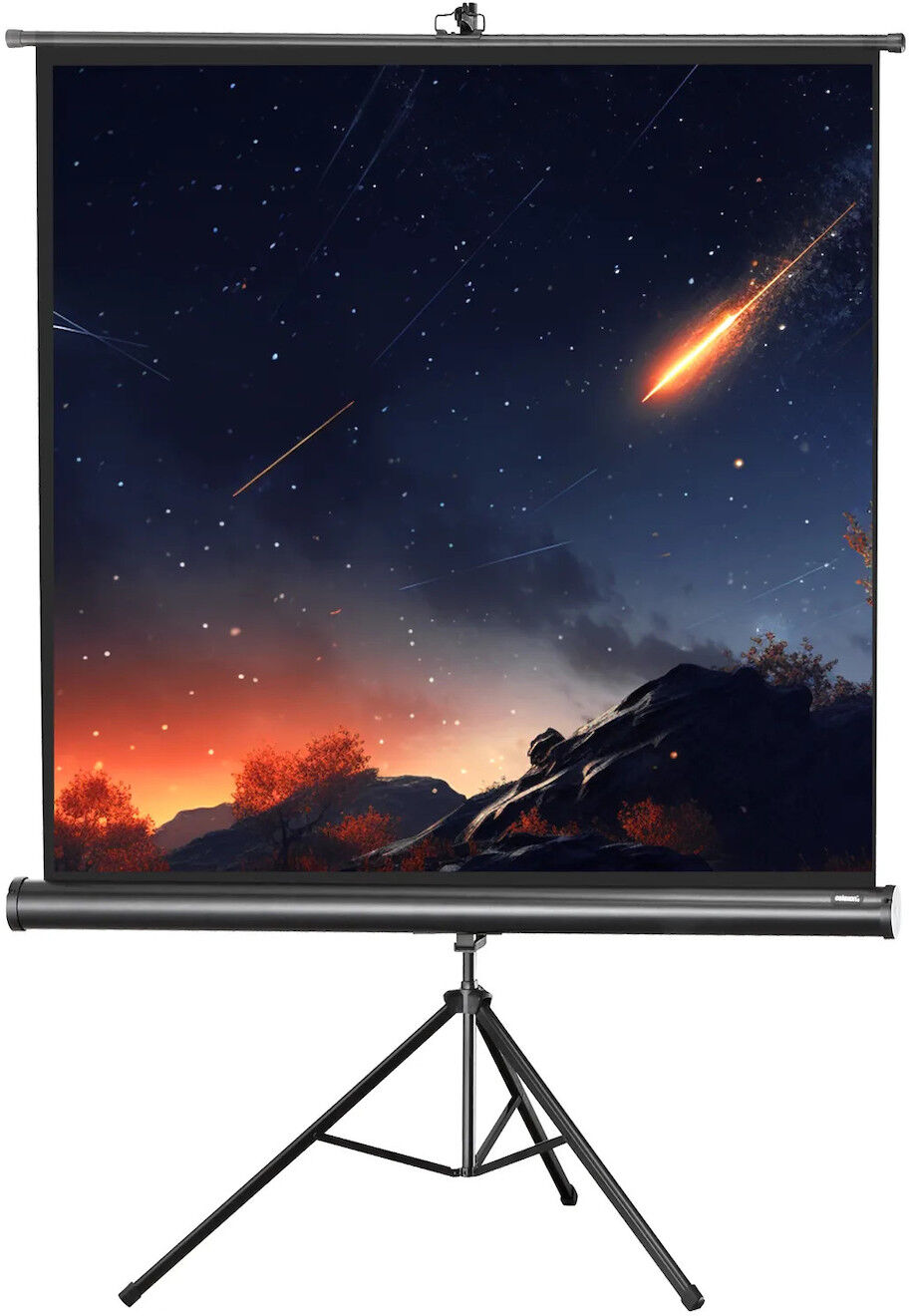 celexon stativ filmduk Economy, 244 x 244 cm celexon stativ filmduk Economy, 244 x 244 cm