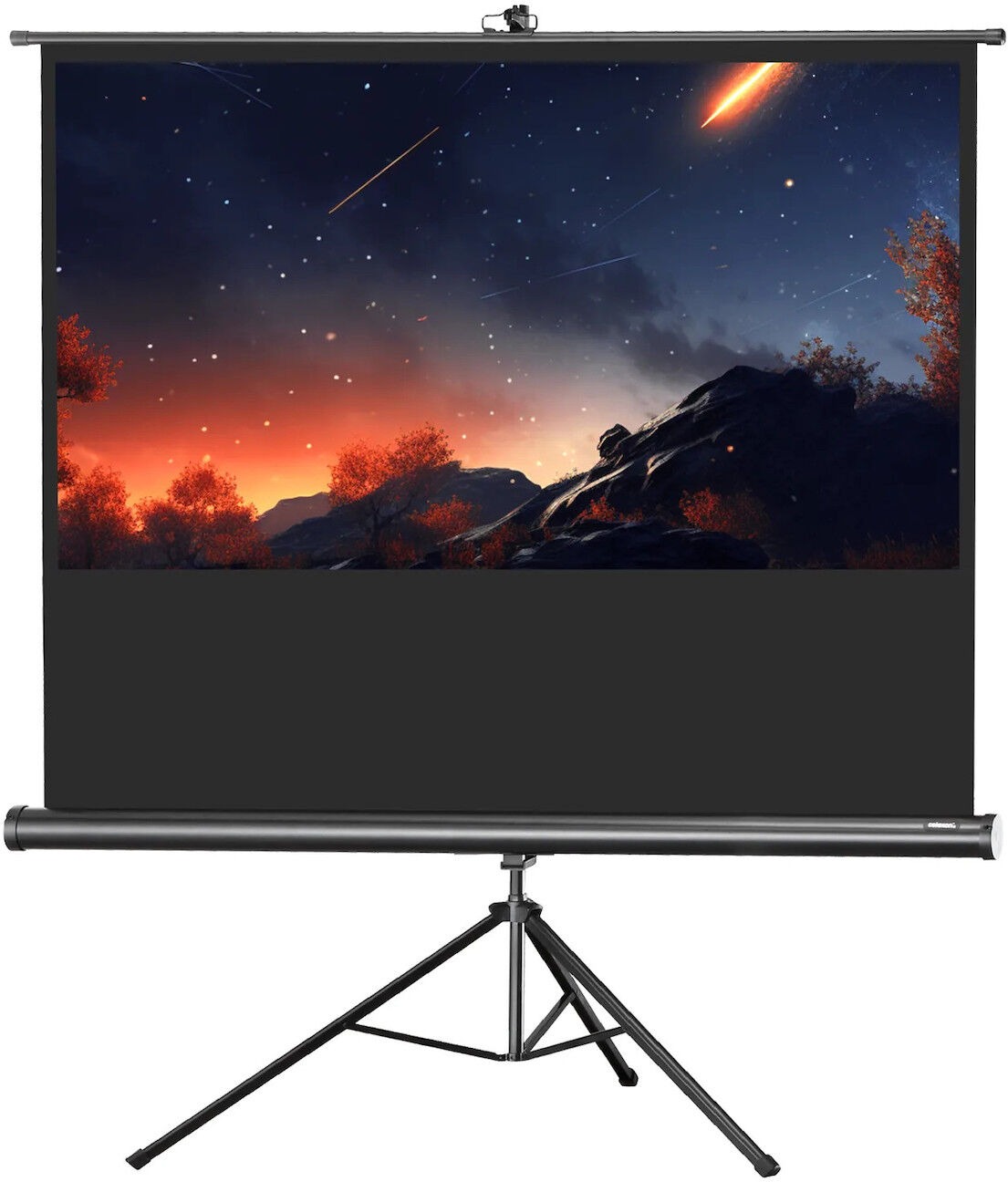 celexon stativ filmduk Economy, 244 x 138 cm celexon stativ filmduk Economy, 244 x 138 cm