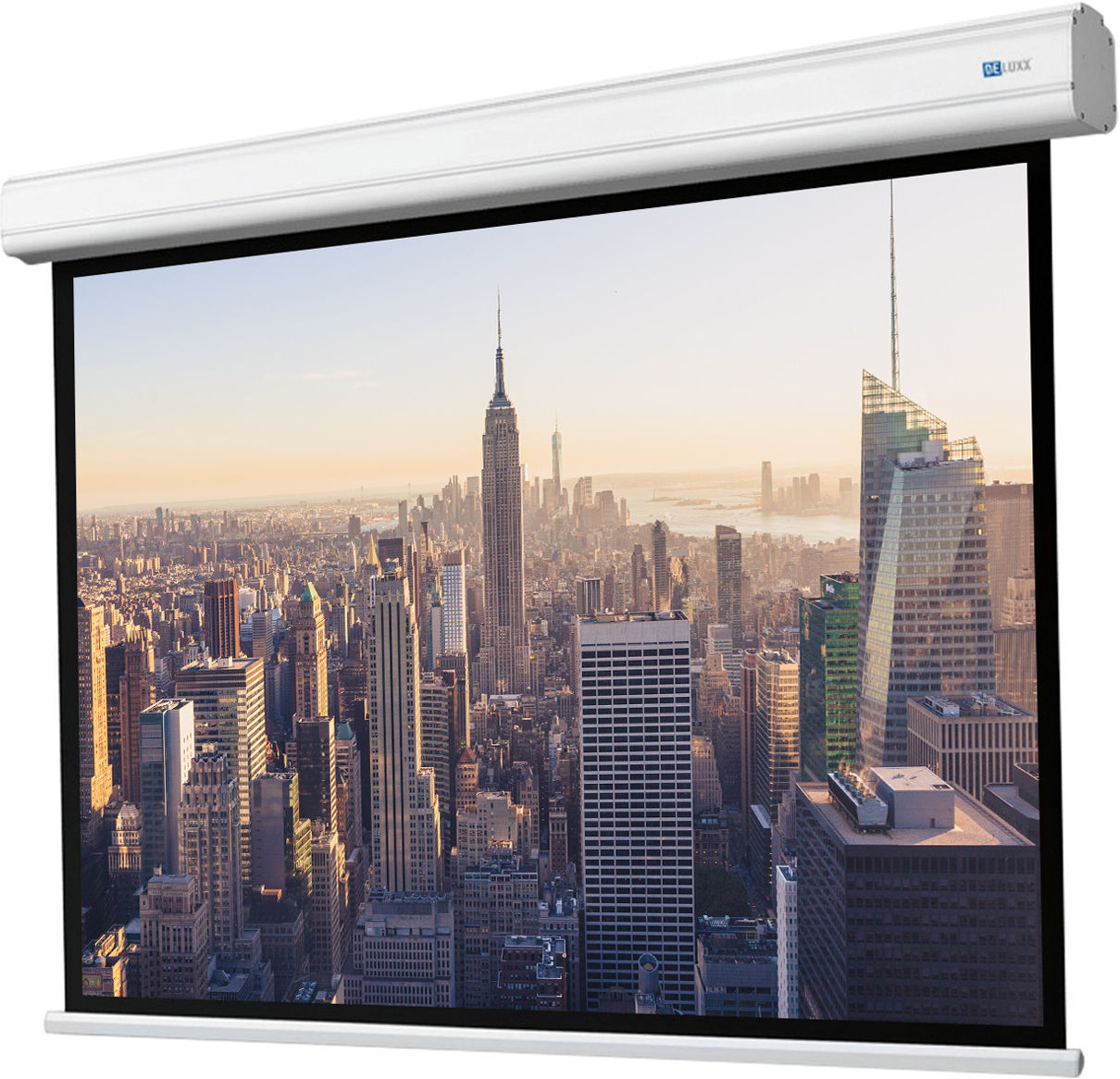 DELUXX Professional motordriven duk 16:9 mattvit Vision 305 x 172 cm DELUXX Professional motordriven duk 16:9 mattvit Vision 305 x 172 cm