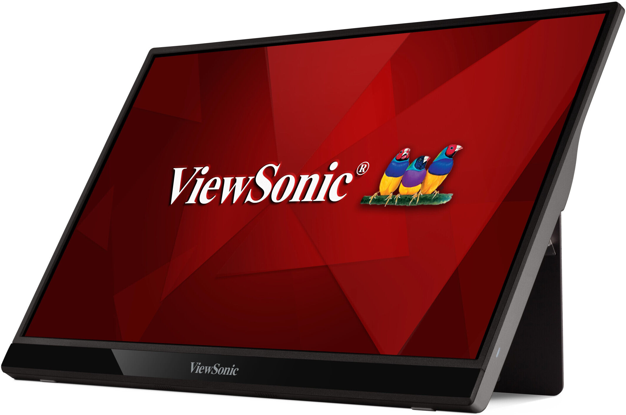 ViewSonic VG1655