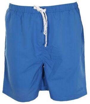 Badshorts herr blå stora storlekar (Storlek: 4XL) Badshorts herr blå stora storlekar (Storlek: 4XL)