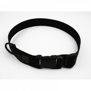 K9 Thorn 25mm Halsband med D-Ring (Färg: Svart, Storlek: Medium)