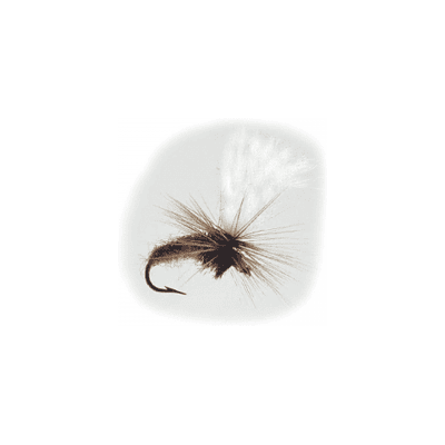 Wiggler Hurricane Fly Torrfluga - Klinkhamer Brun #12 Wiggler Hurricane Fly Torrfluga - Klinkhamer Brun #12
