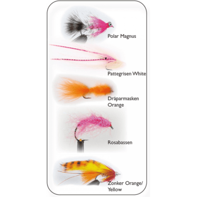 Wiggler Hurricane Fly Flugkollektion - Havsöring Mix 2 5p #6 Wiggler Hurricane Fly Flugkollektion - Havsöring Mix 2 5p #6