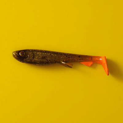 Wolfcreek Lures Wolfcreek Shad 15 cm 30Gram (Färg: #C022 The Record 21+ kg) Wolfcreek Lures Wolfcreek Shad 15 cm 30Gram (Färg: #C022 The Record 21+ kg)