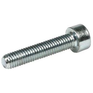 Schäfer & Peters 0912480610 Sexkanthålsskruv M6 Mc6s A4/80, Iso 4762, 500-Pack M6 X 10 Mm, Infästning