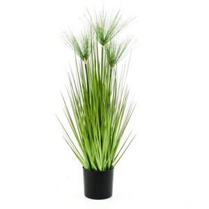 Emerald Konstväxt cyperus i kruka Haspan 75 cm