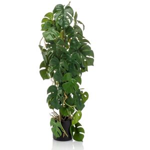 Emerald Konstväxt monstera 75 cm i kruka