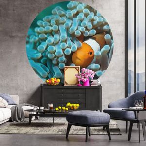 WallArt Tapet cirkelformad Nemo the Anemonefish 190 cm