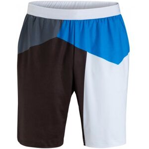 BJÖRN BORG TERRELL SHORTS (XL)