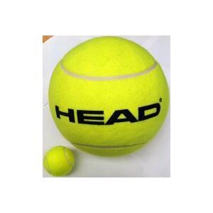 HEAD Medium Inflatable Ball